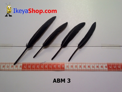 bulu angsa mini ABM 3   feather  large2